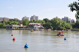 北京紫竹院公园湖面风景
