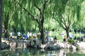 北京紫竹院公园水边风景