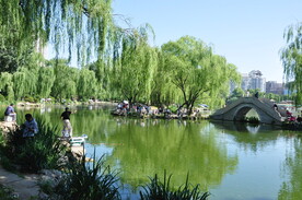 北京紫竹院公园湖面风光
