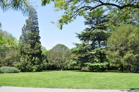 北京紫竹院公园景观草坪