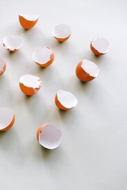 蛋壳