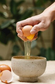 打蛋
