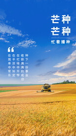 芒种 二十四节气