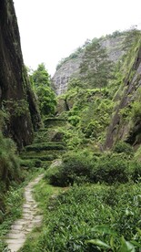 牛栏坑