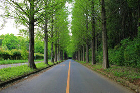 路 