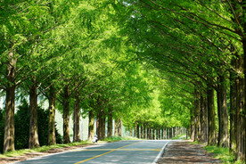 路