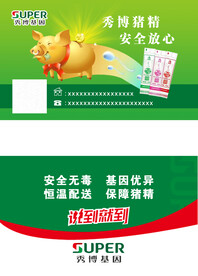 秀博猪精