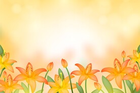 背景模板 展板背景      