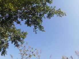 天空之美