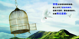梦想