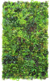 植物墙
