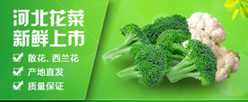 生鲜电商banner