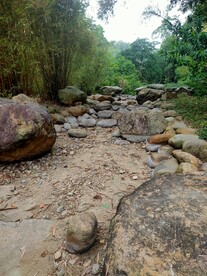 缺水的小溪