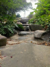 干涸的小溪