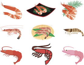 矢量虾海鲜