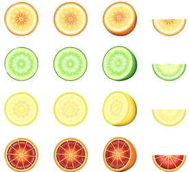 矢量柠檬横切面