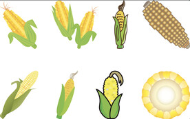 矢量玉米