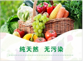 蔬菜海报