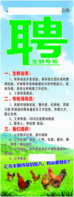 鲜禽招聘X展架