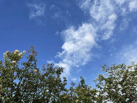 天空 树