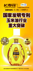 长寿花促销台