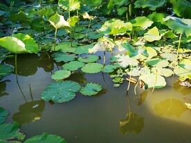 旅游风光