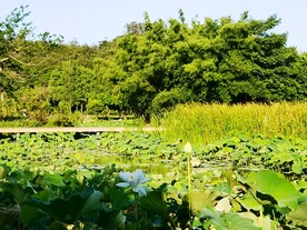 旅游风光