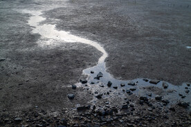 滩涂流水