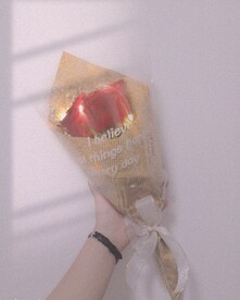 一束玫瑰