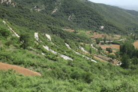 盘山路