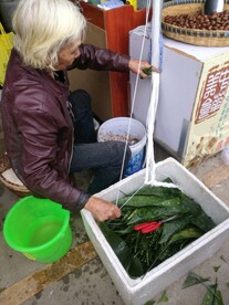 包粽子