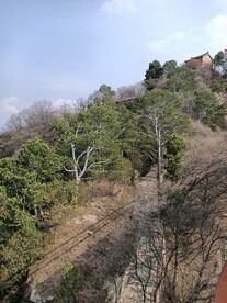 山