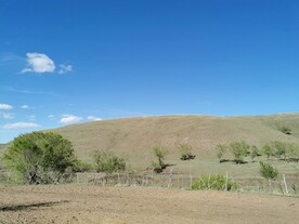 蓝天白云大馒头