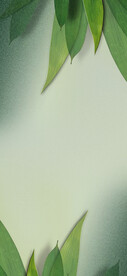 地产节气端午