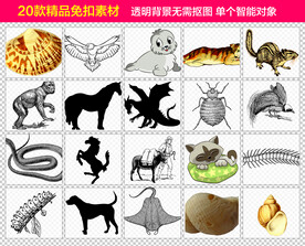 动物免抠素材