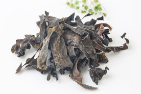 中药材昆布