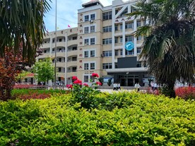 美丽的校园风景