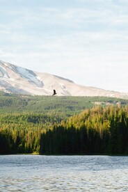 风景