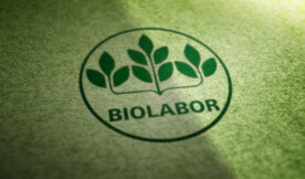 绿色背景logo样机展示