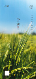 小麦