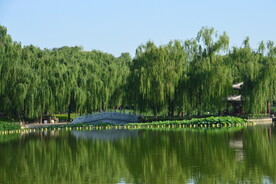 湖水风景 