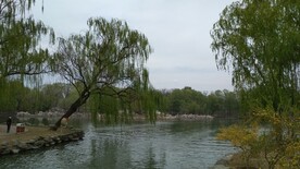 圆明园自然风光