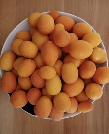 柑果