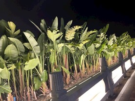 沿途