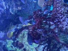 海洋馆