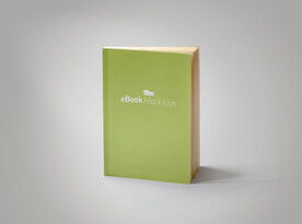 竖着的书本样机模板