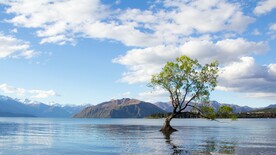 自然风景 简约风景 山水风景 