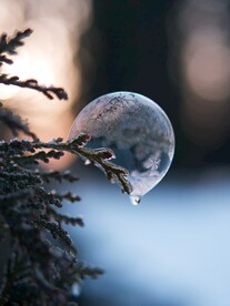 冰雪 
