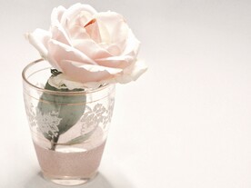 玫瑰花