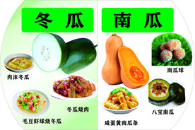 冬瓜 南瓜